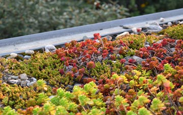 the cost of Randalstown green roof installation