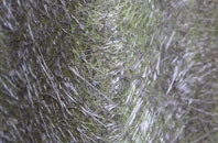 Randalstown fibreglass roof work